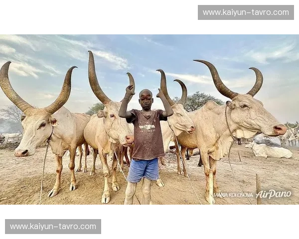 狮王之争：苏丹与南非，谁是赤道以南的真正王者？