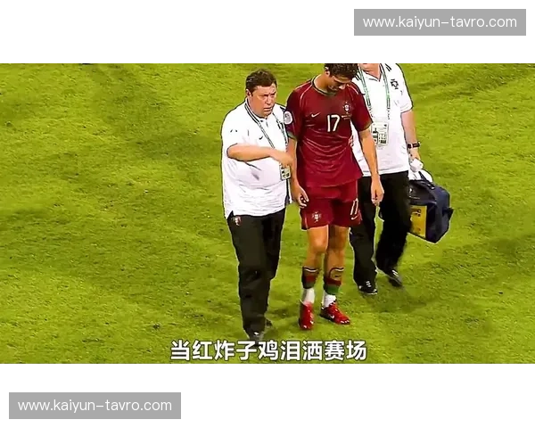 激战！2006世界杯的“碰撞”——葡萄牙与荷兰的史诗对决